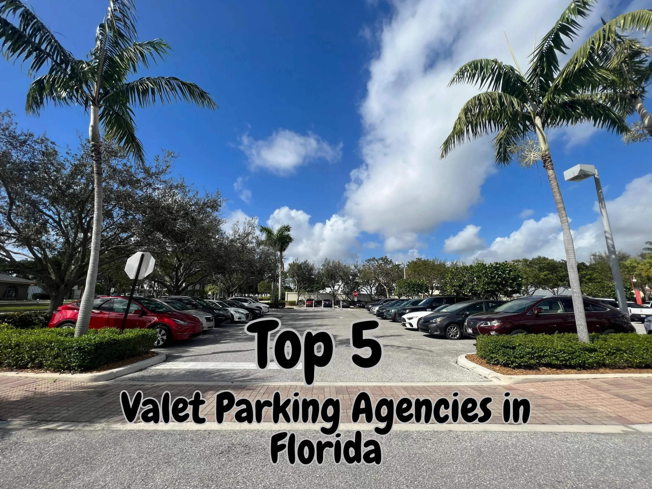 Top 5 of the Best Valet Parking Agencies in Florida