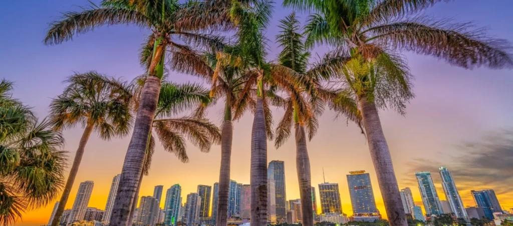 Elevating Tourism Experiences: Valet Parking Services for Your Business in South Florida